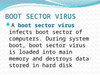 Page 10: presentation on computer virus