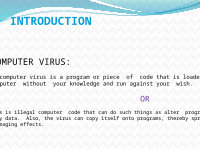 Page 3: presentation on computer virus