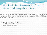Page 4: presentation on computer virus