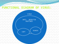Page 7: presentation on computer virus